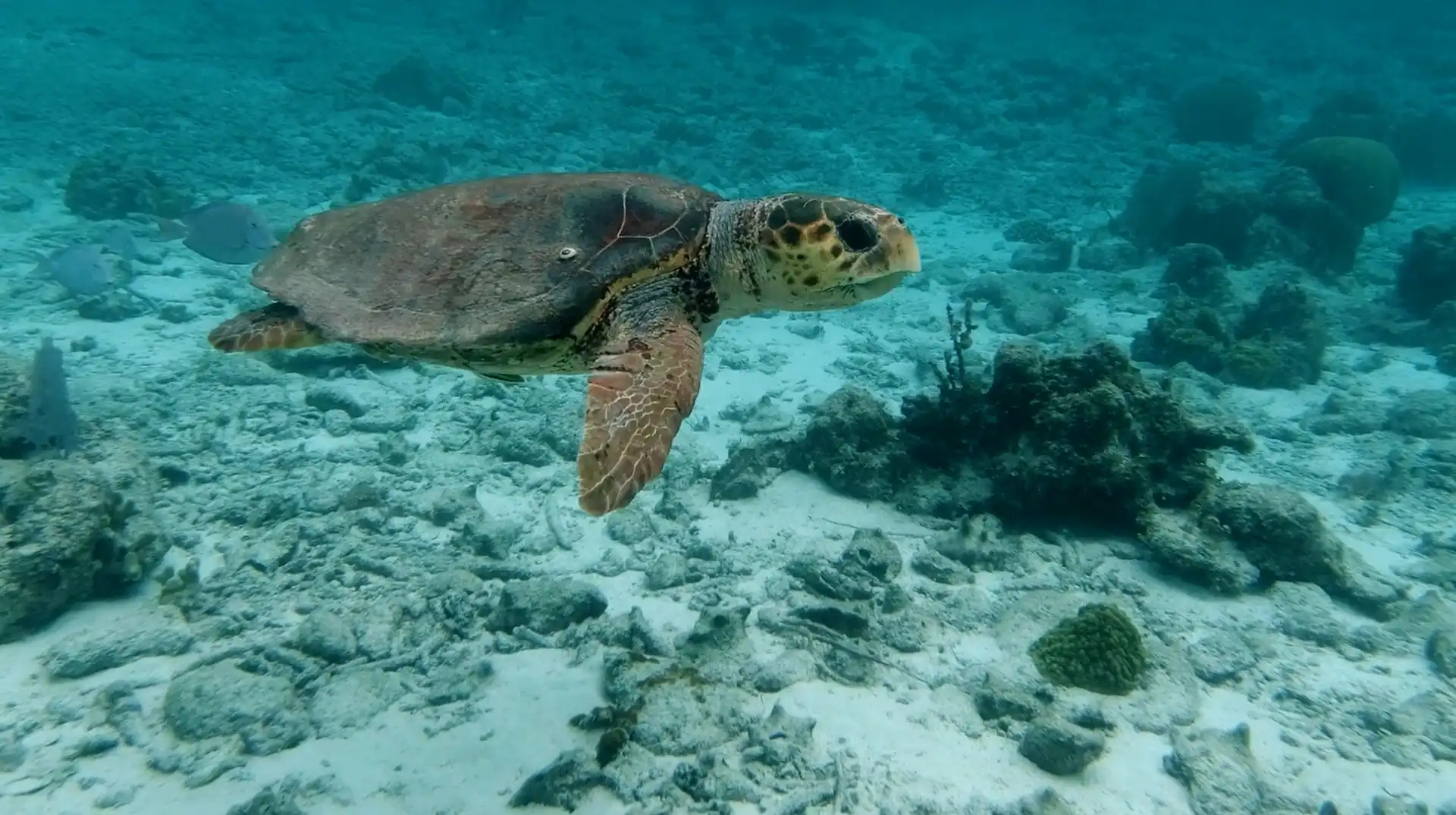 AMRA wellness sanctuary with lagoon view