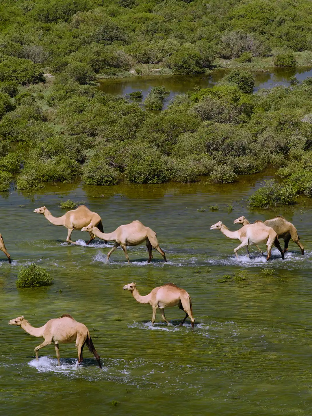 Biodiversity Hotspot